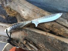 CUSTOM MADE FARRIER STEEL SKINNING KNIFE  WITH STAG HANDLE picture