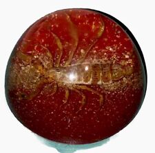 Vintage Large Lucite Paper Weight Real Scorpion ￼ picture