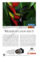 1994 Canon Cameras Old Print AD features White Tailed Sabrewing Roger Neckles picture