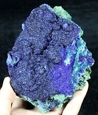 1000g 135mm Sparkling Blue Azurite crystals on Malachite China CMM662617 picture