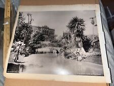 Large Antique Mounted Photos: Cairo Egypt La Jardin du Prince Hussein Zoologique picture