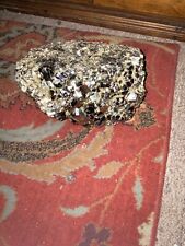 cluster of pyrite 14.21lbs  picture