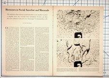 Hormones in Social Amoebae & Mammals Article John Tyler Bonner Science Journal picture