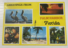 Greetings from Palm Harbor Florida Postcard Used Vintage picture