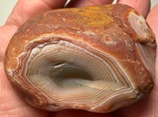 3oz Lake Superior peeler with potential couple eyes banded agate #51 picture