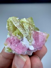 44 GM Watermelon Bi Colour Tourmaline Specimen Featuring Vibrant Pink&Green Hues picture