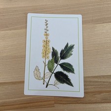 BLACK COHOSH ~ New York Botanical Garden single Card picture