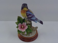 Andrea by Sadek Bird #8627 Parula Warbler No Damage No Fading Beautiful picture