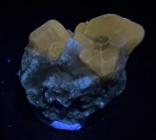 48 CT Beautiful Rare Fluorescent Full Terminated Apatite Crystals Bunch @Kunar picture