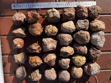 Rough China pujiang Agate Achat Nodule Specimen thundereggs 1kg 6-12pcs picture