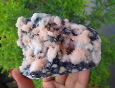 Chalcedony Coral On Matrix Minerals Specimen #F43 picture