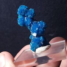 ☆One Of The Best Cavansite Clusters Ever Beautiful Interlocking Electric Blue☆ picture