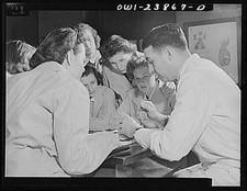 Photo:Frances Bullock Student Nurse Brain Structure Lesson 1940s picture