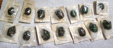 Phanaeus splendidulus Pair Argentina (One Pair) Dung Beetle Scarab Insect Copris picture