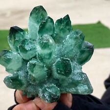 359G New Find green PhantomQuartz Crystal Cluster MineralSpecimen picture