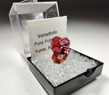 Vanadinite crystals, Gorgeous. Pure Potential Mine, Yuma, Arizona. Video. picture