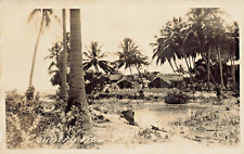 Puerto Rico PR~Country view~1920s REAL PHOTO POSTCARD picture