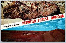 Greetings Petrified Forest Arizona Multi View Desert Agate House Trail Postcard picture