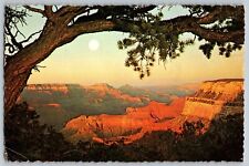 Arizona - Grand Canyon National Park - Vintage Postcard 4x6 - Posted picture