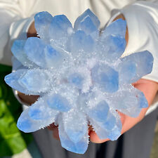 335G New Find sky blue Phantom Quartz Crystal Cluster Mineral Specimen Healing picture