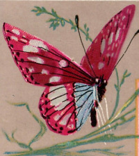 Reward of Merit Victorian Trade Card Butterfly Scene picture