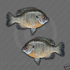 Bluegill Fish Decal Sticker Pond Fishing Bass Lake Jig Jigging Jon Boat Stickers picture