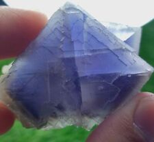 Fluorite Cubic Crystals With Nice Colour & Beautiful Zoning-Balochistan,Pak. picture