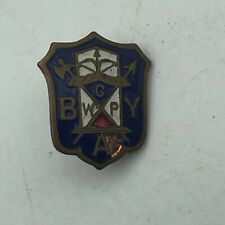 Unknown Vtg BYA WCP Fraternal Masonic Screw Back Lapel Pin Antique   Q3 picture