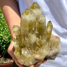 5.67LB Natural yellow Crystal Himalayan quartz cluster /mineralsls picture