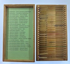 MAMMAL HISTOLOGY Microscope Slides set ORGAN SYSTEMS ANATOMY in wooden case picture