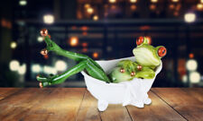 Frog in Bath Tub 6