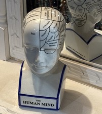 The Human Mind Phrenology Science Psychology Head Brain Statue Ceramic Decor picture