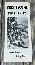 Vintage Bristlecone Pine Trips Oldest Known Living Things Brochure Pamphlet A picture