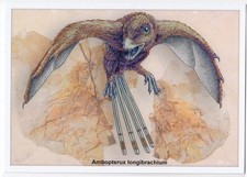 2019 Dinosaur Extinct animal bird Scansoriopteryx Paleontology Fossil postcard 2 picture