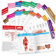 16 Pack Anatomy & Physiology Study Guides Set Human Body Systems Anatomy picture