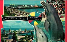 Greetings From Clacton On Sea Chrome Postcard Dolphins Multi View picture