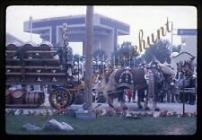 1964 New York Worlds Fair Lowenbrau Gardens 1960s 35mm Slide Kodachrome Horses picture
