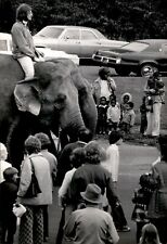 LG24 1973 Orig Photo RINGLING BROS BARNUM BAILEY CIRCUS ELEPHANTS MET STADIUM picture