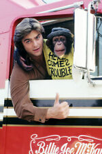 GREG EVIGAN 24X36 POSTER PRINT B.J. AND THE BEAR MONKEY IN TRUCK picture
