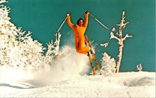 Sugarbush, Vermont Morning Powder for Snow Ski Postcard With Person Skiing picture