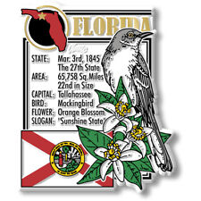 Florida State Montage Magnet by Classic Magnets, 2.8