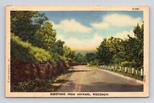 Greetings Hayward Wisconsin Forest Street View Linen Vintage WOB PM Postcard picture