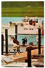 Postcard - The Palmetto Bay Marina, Sea Pines Plantation, Hilton Head, SC (M1g) picture