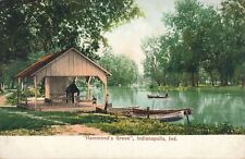 INDIANAPOLIS IN - Hammond's Grove Postcard - udb (pre 1908) picture