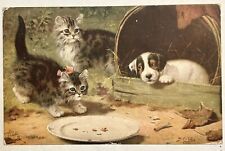 Two Siberian Kittens And Puppy Postcard. Dog And Cats. Hong Kong postmark. 1919 picture