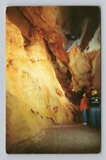 Spruce Creek PA Indian Caverns Caves Frozen Niagara Pennsylvania Postcard picture