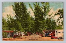 Bradenton FL-Florida, Bradenton Trailer Park, Antique Vintage Souvenir Postcard picture