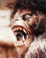 An American Werewolf in London (1981) David Naughton 10x8 Photo picture