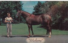 1959 Whirlaway Triple Crown Horse Winner Kentucky Derby, Preakness Postcard picture