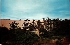 Sand Dunes Provincetown Cape Cod Massachusetts MA Unposted Postcard picture